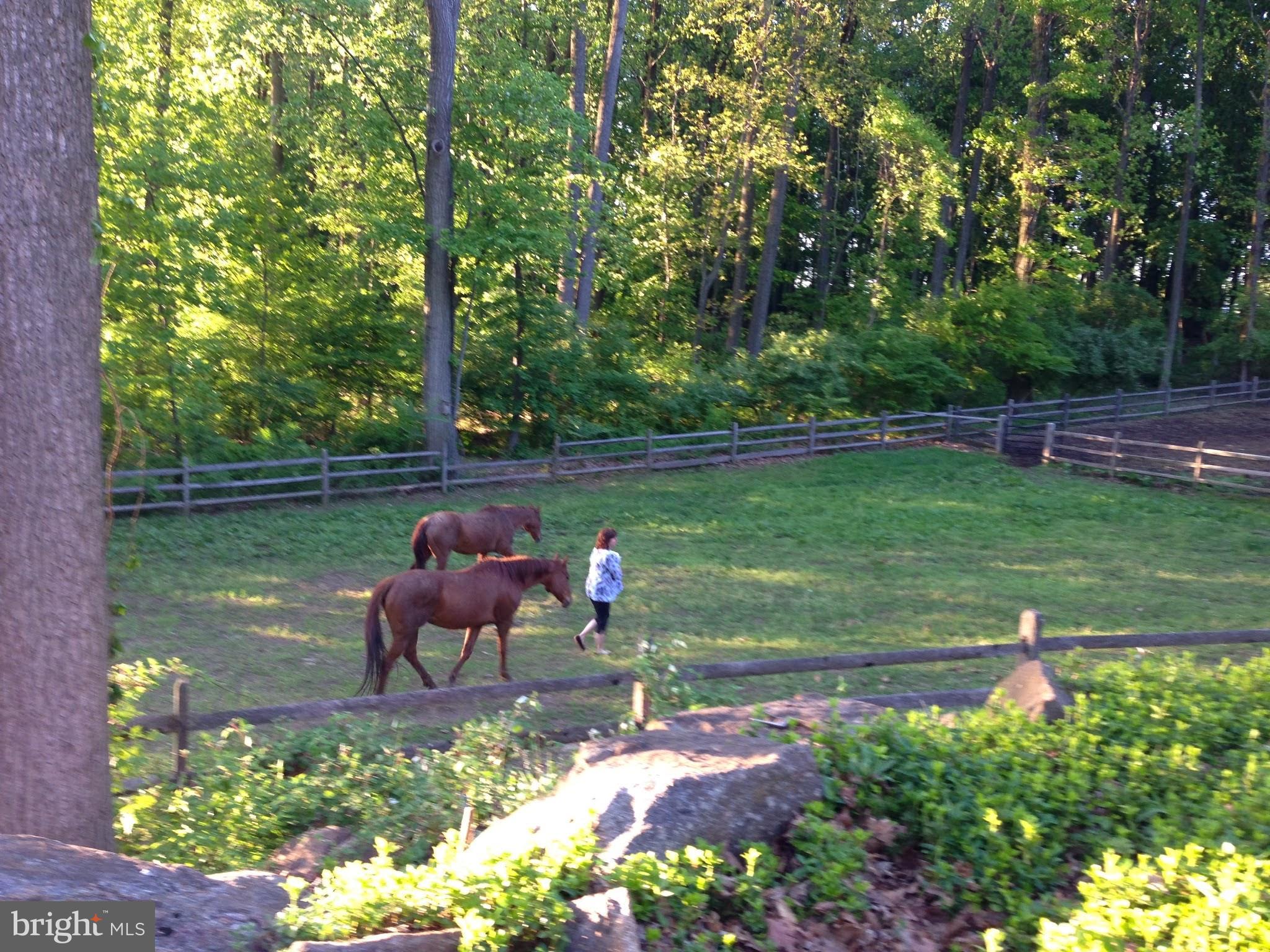 8080 Goshen Road Malvern, PA 19355 - Photo 49 of 51