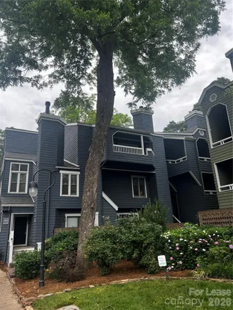 $1,499 | 415 West 8th Street, Charlotte, NC 28202