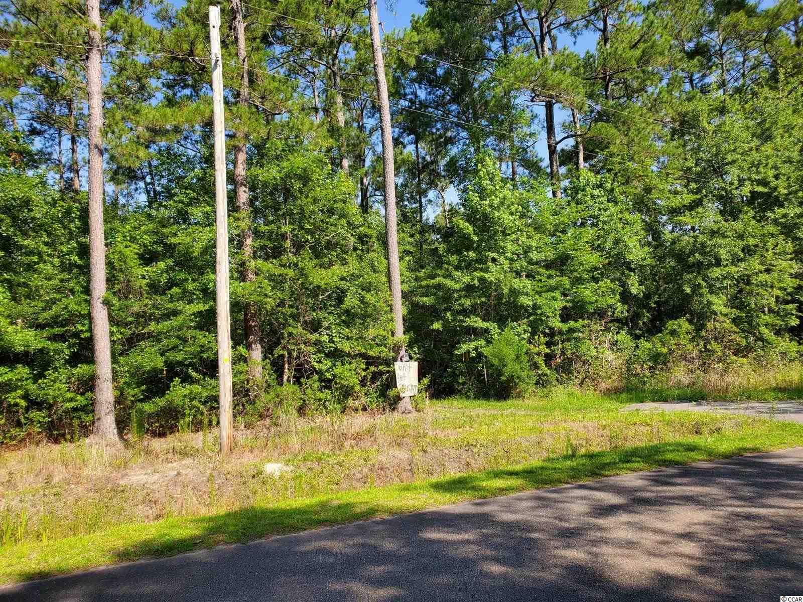 Pine View Drive Loris, SC 29569 - Photo 1 of 5 Gallery Image 1