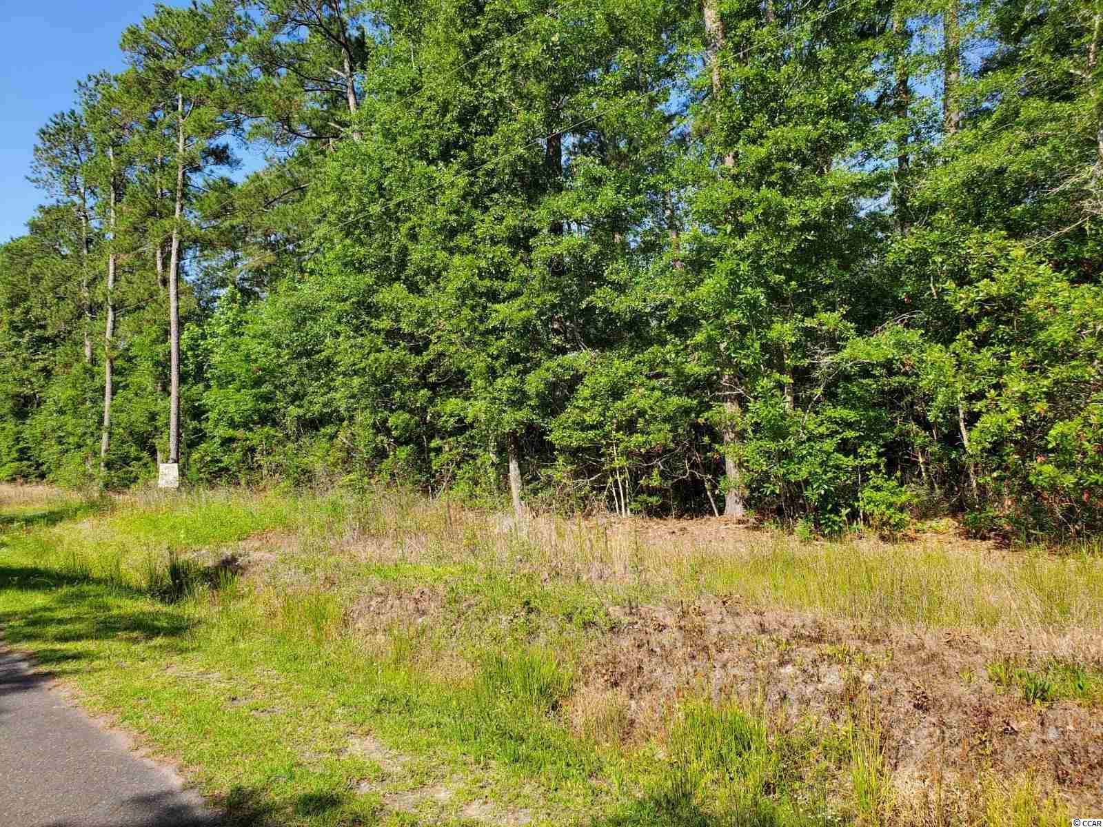Pine View Drive Loris, SC 29569 - Photo 2 of 5 Gallery Image 2
