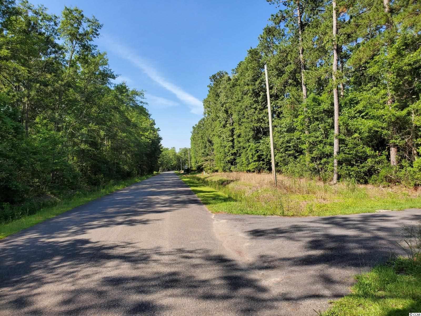 Pine View Drive Loris, SC 29569 - Photo 3 of 5 Gallery Image 3