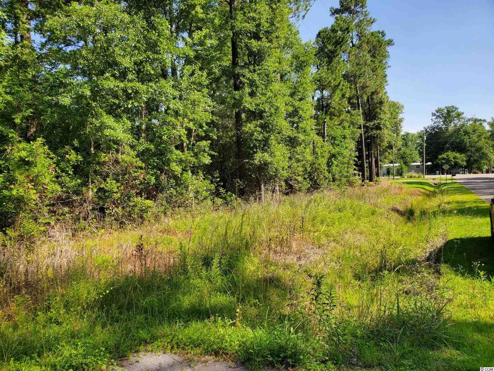 Pine View Drive Loris, SC 29569 - Photo 4 of 5 Gallery Image 4