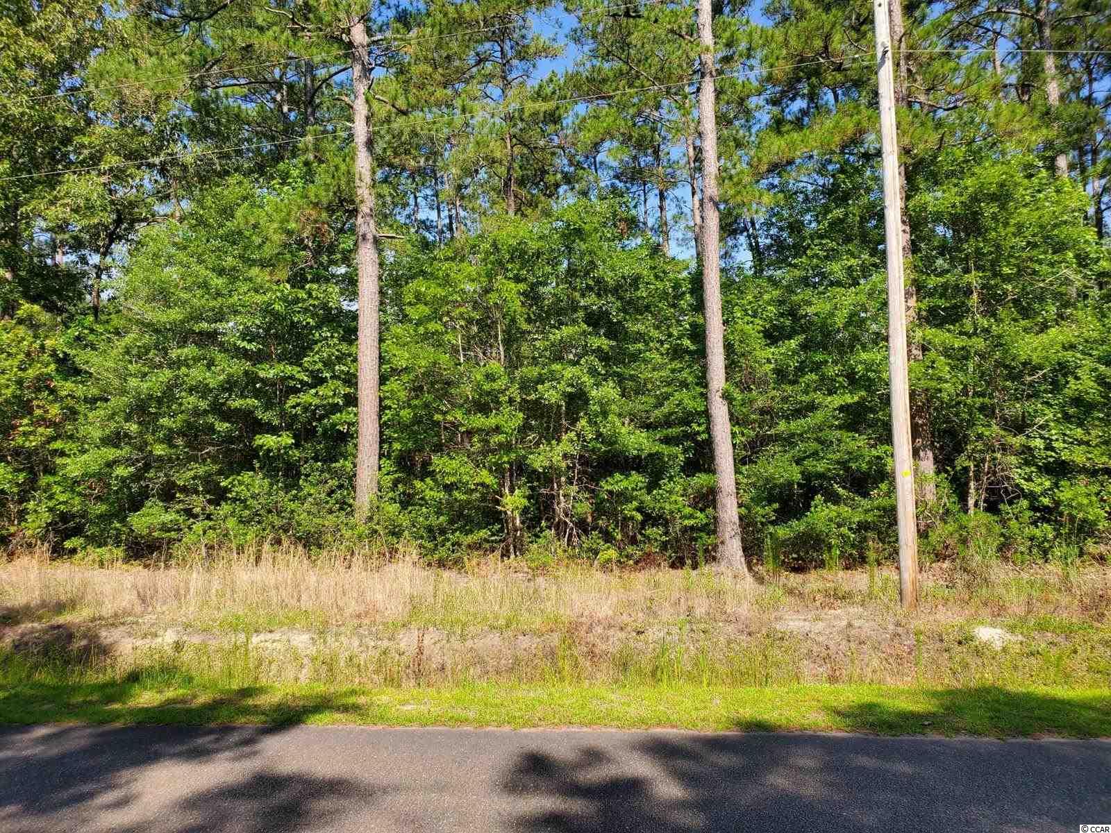 Pine View Drive Loris, SC 29569 - Photo 5 of 5 Gallery Image 5