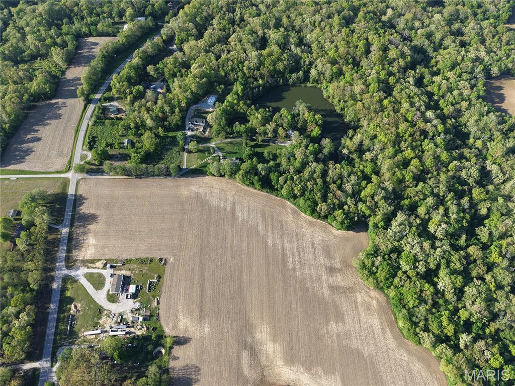 0 Baldwin Road Baldwin, IL 62217 - Photo 3 of 6