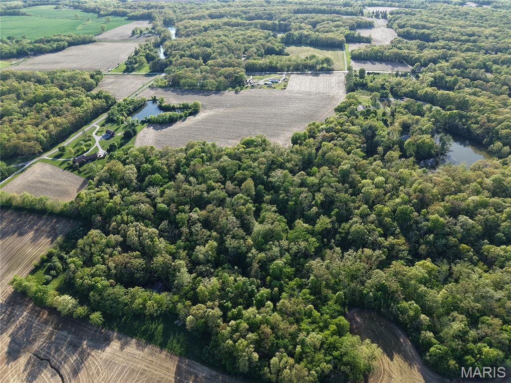 0 Baldwin Road Baldwin, IL 62217 - Photo 4 of 6