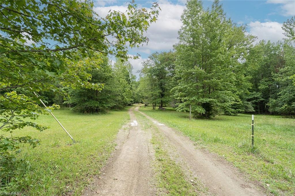 7027 Isham Chambers Road Rougemont, NC 27572 - Photo 3 of 15