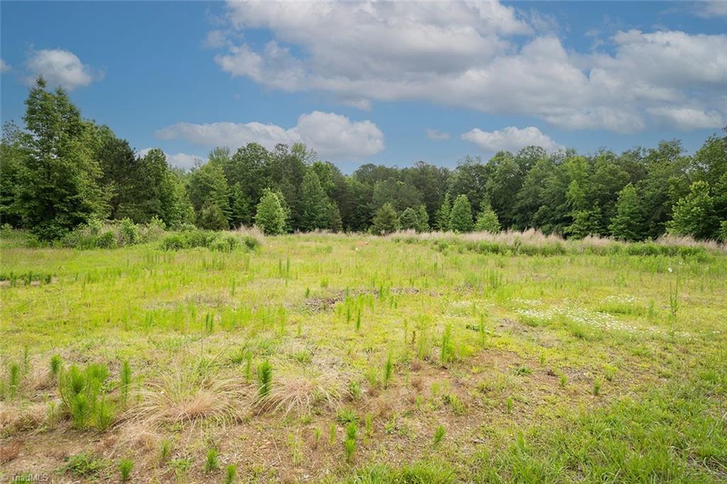 7027 Isham Chambers Road Rougemont, NC 27572 - Photo 4 of 15