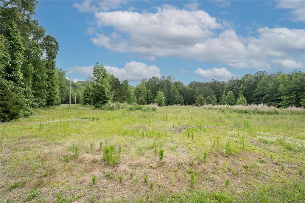 7027 Isham Chambers Road Rougemont, NC 27572 - Photo 5 of 15