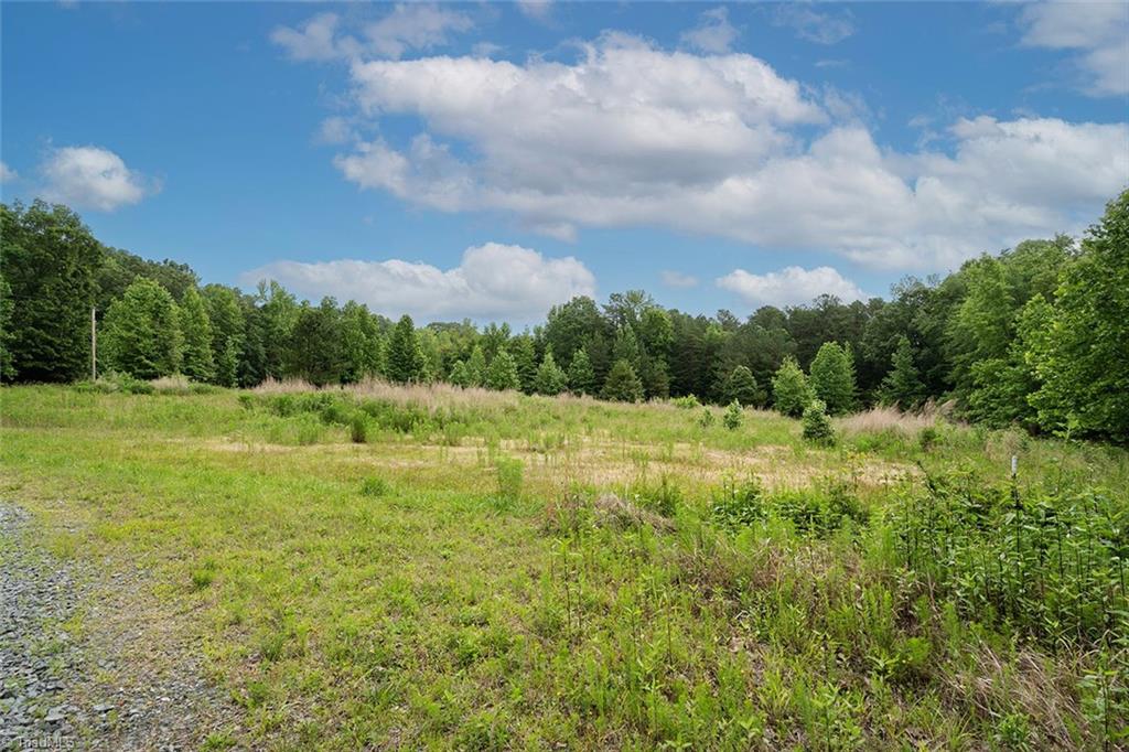 7027 Isham Chambers Road Rougemont, NC 27572 - Photo 6 of 15