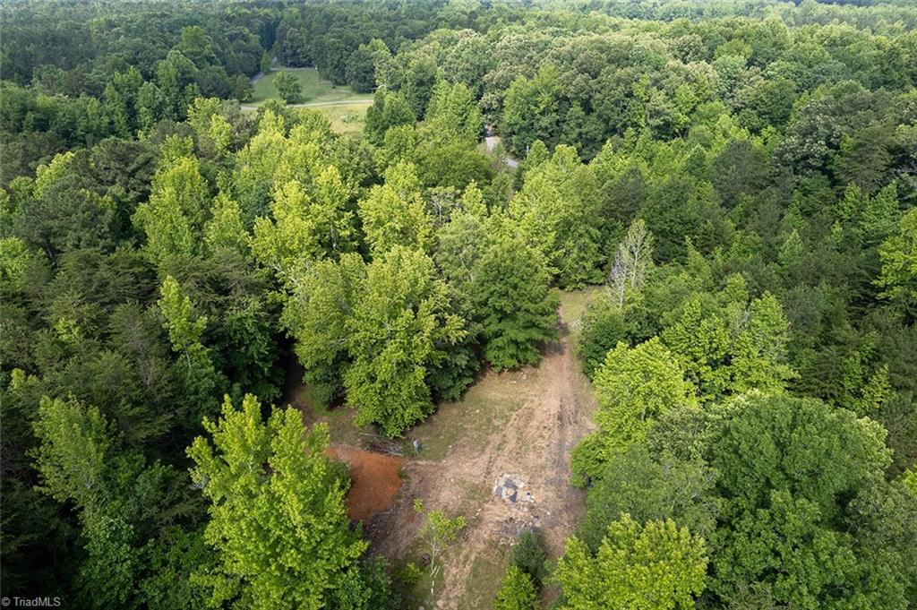 7027 Isham Chambers Road Rougemont, NC 27572 - Photo 9 of 15