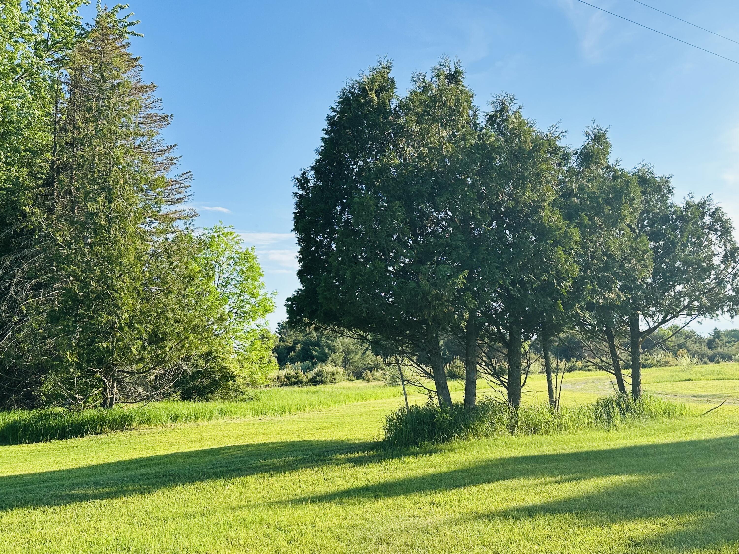 5372 Milarch Road Manistee, MI 49660 - Photo 22 of 41 Beauty ALL around!