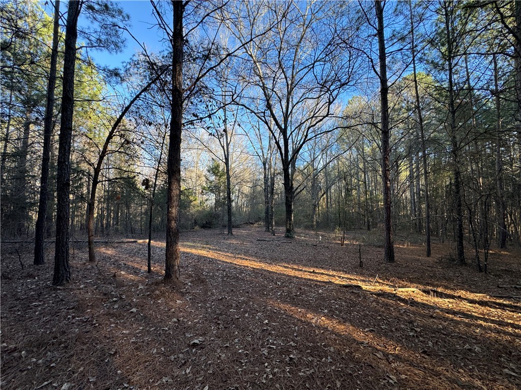6620 Liberty Highway Pendleton, SC 29670 - Photo 13 of 15