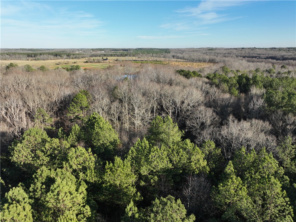 6620 Liberty Highway Pendleton, SC 29670 - Photo 4 of 15