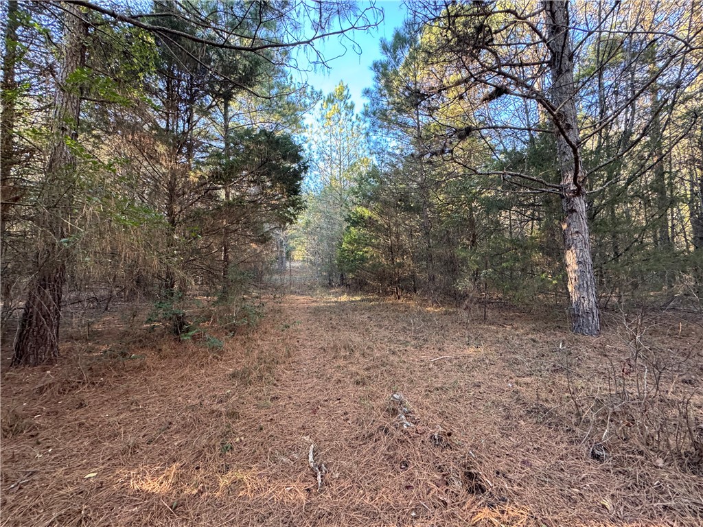 6620 Liberty Highway Pendleton, SC 29670 - Photo 6 of 15