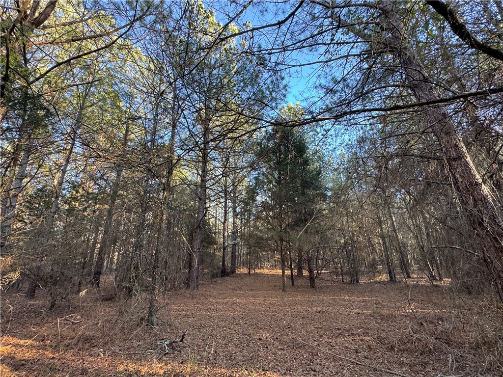 6620 Liberty Highway Pendleton, SC 29670 - Photo 7 of 15