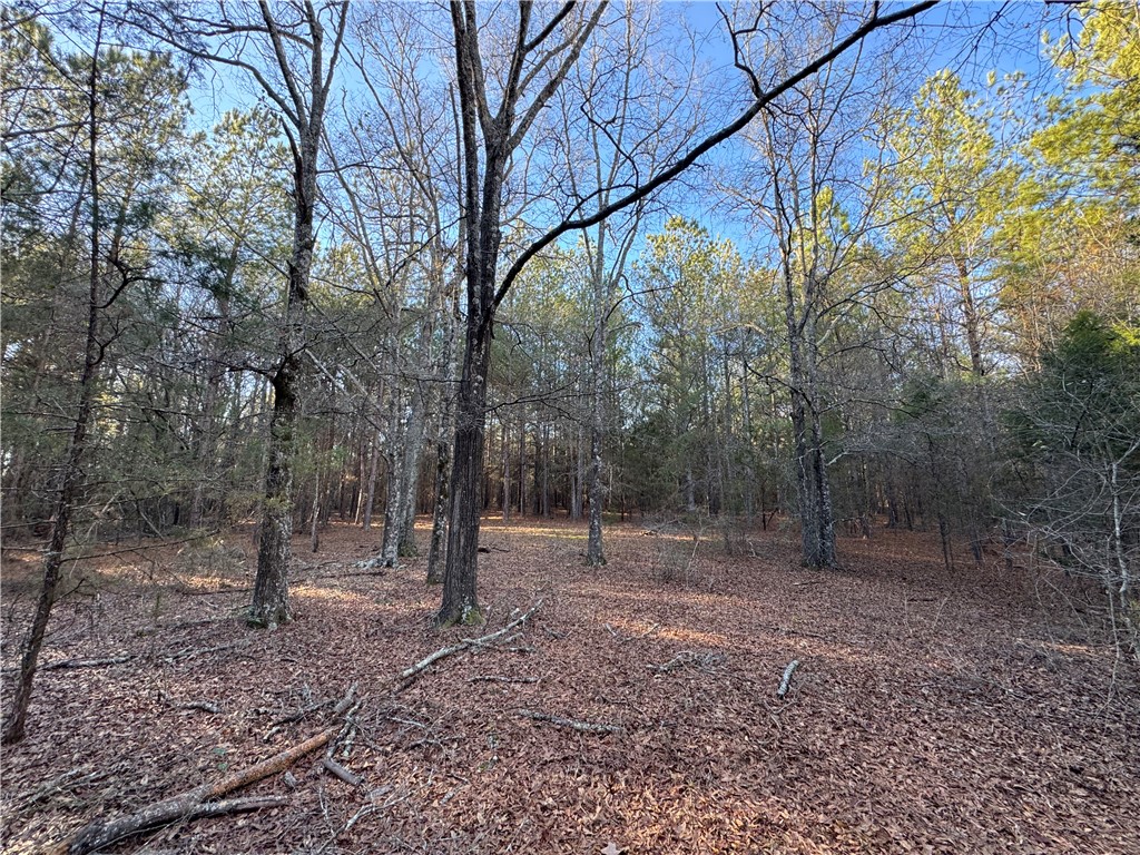 6620 Liberty Highway Pendleton, SC 29670 - Photo 10 of 15