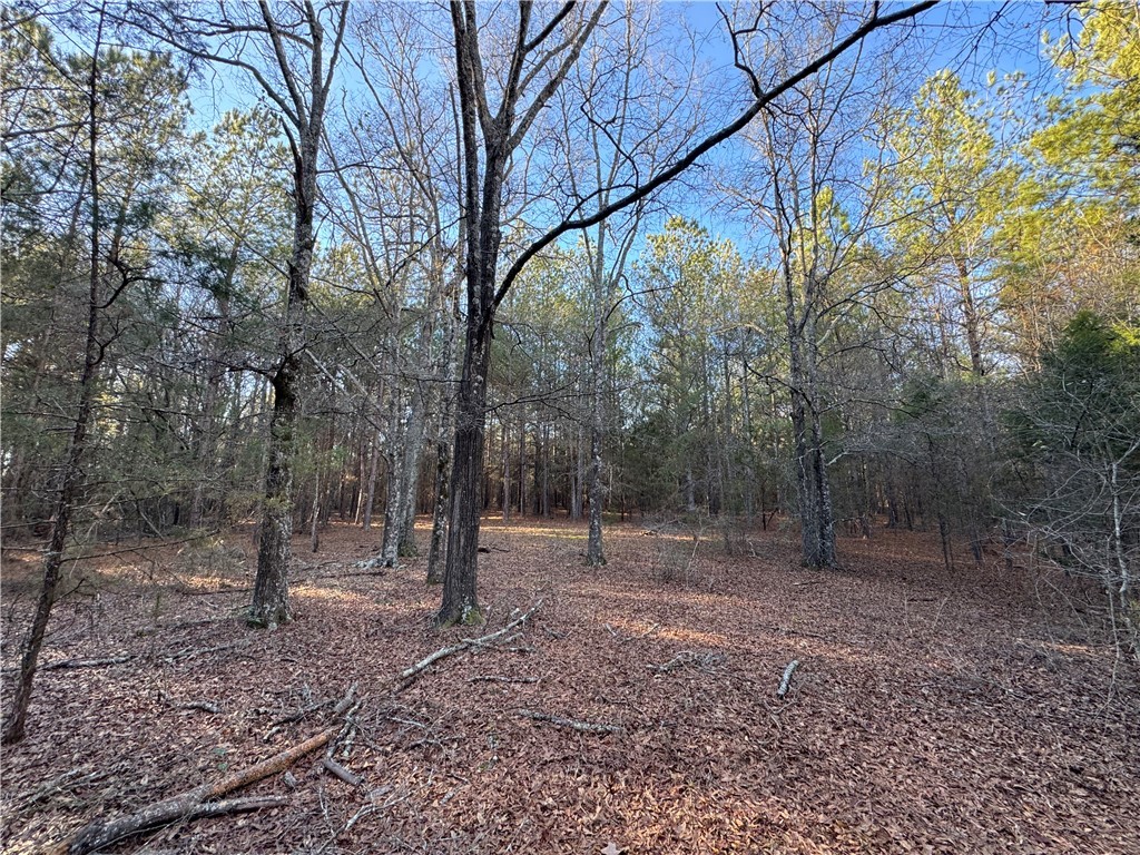 6620 Liberty Highway Pendleton, SC 29670 - Photo 10 of 15