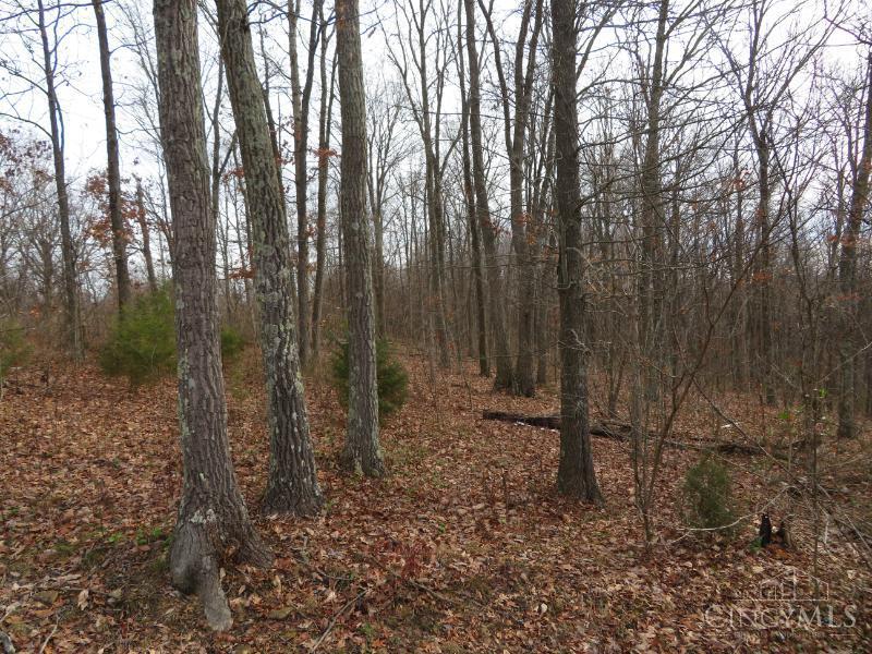 7730 Beavers Ridge Road Piketon, OH 45661 - Photo 14 of 15