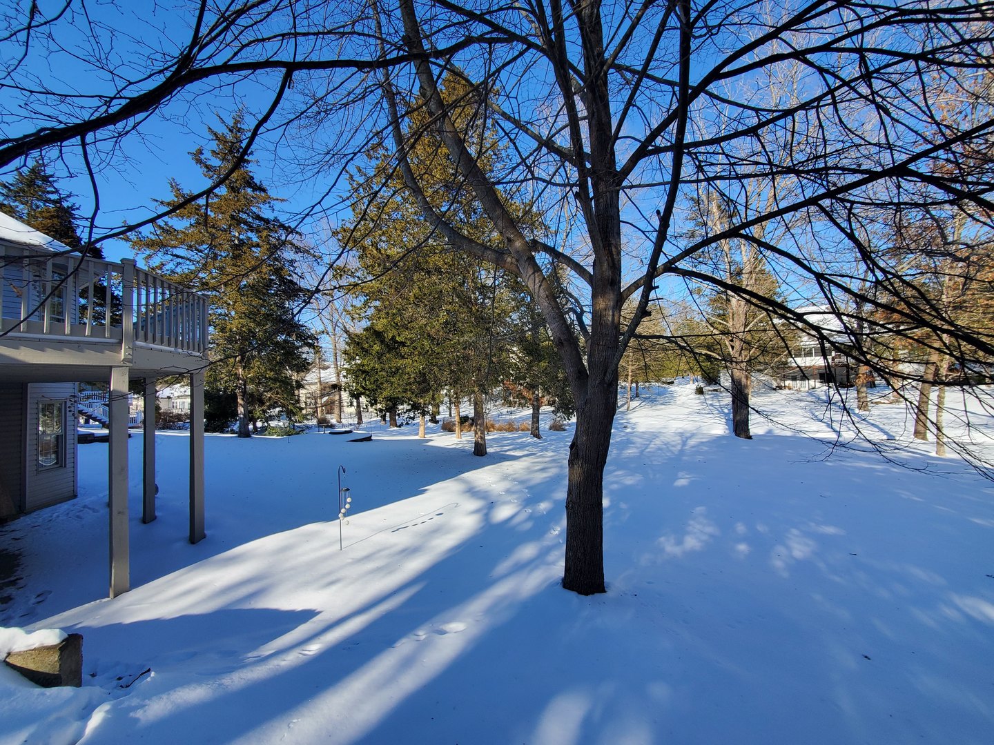 1142 Cedar Ridge Drive Carbondale, IL 62901 - Photo 6 of 69