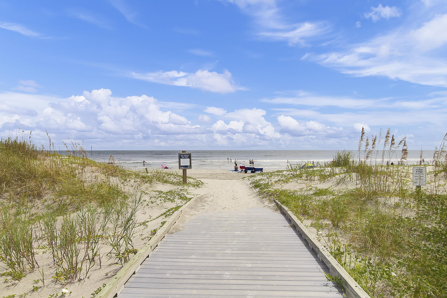 504 East Cooper Avenue Folly Beach, SC 29439 - Photo 45 of 95 3