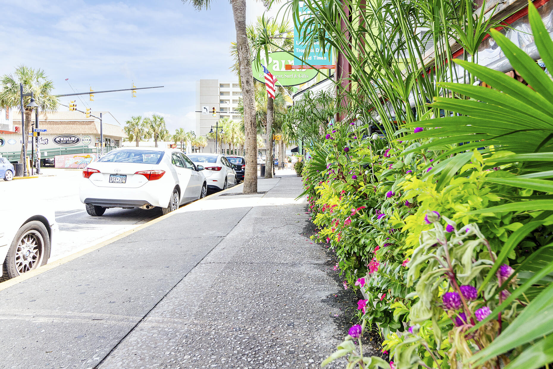 504 East Cooper Avenue Folly Beach, SC 29439 - Photo 85 of 95 24