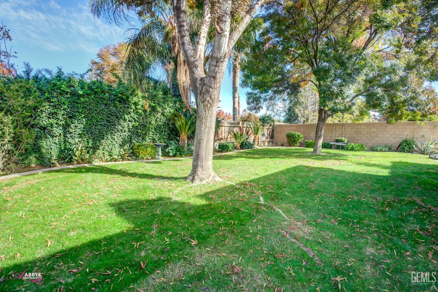 Undisclosed Address Bakersfield, CA 93312 - Photo 5 of 26 a view of a trees with a yard