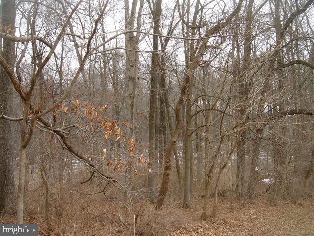 0 Brown Road Nottingham, PA 19362 - Photo 3 of 20