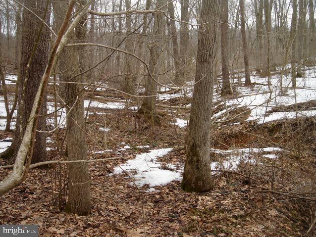 0 Brown Road Nottingham, PA 19362 - Photo 4 of 20