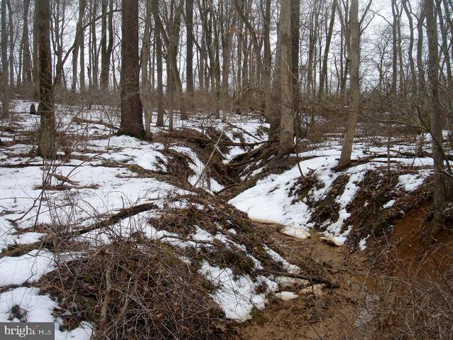 0 Brown Road Nottingham, PA 19362 - Photo 5 of 20