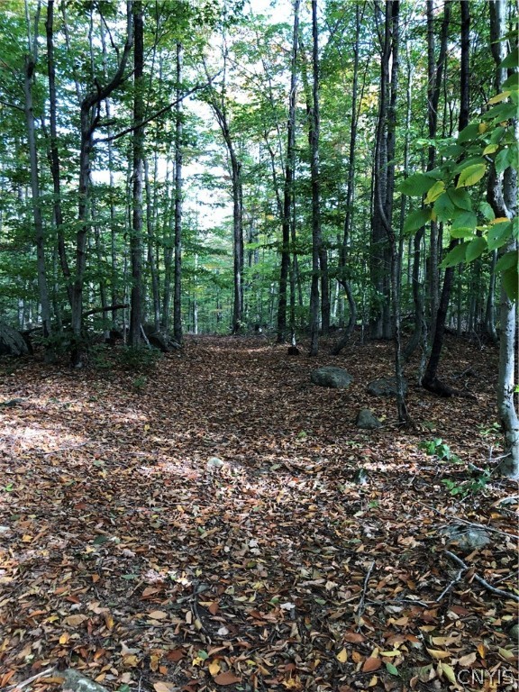 273 Warner Road Oppenheim, NY 13329 - Photo 12 of 26