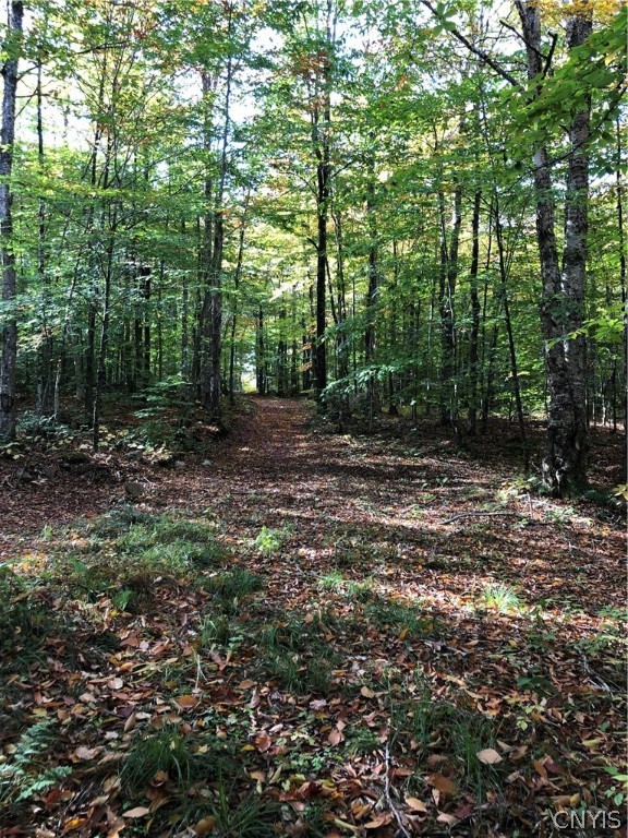 273 Warner Road Oppenheim, NY 13329 - Photo 19 of 26