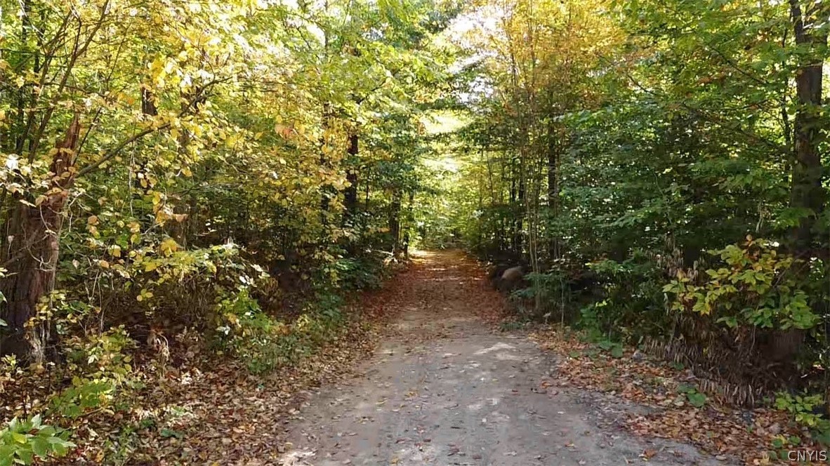 273 Warner Road Oppenheim, NY 13329 - Photo 4 of 26