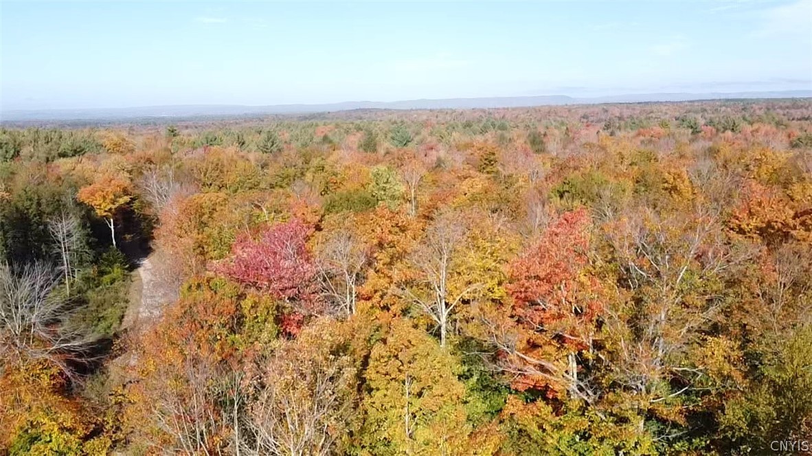 273 Warner Road Oppenheim, NY 13329 - Photo 6 of 26