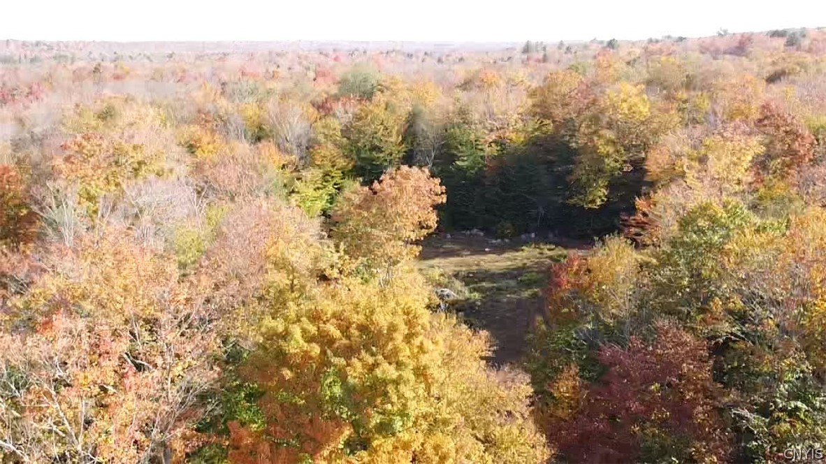 273 Warner Road Oppenheim, NY 13329 - Photo 10 of 26