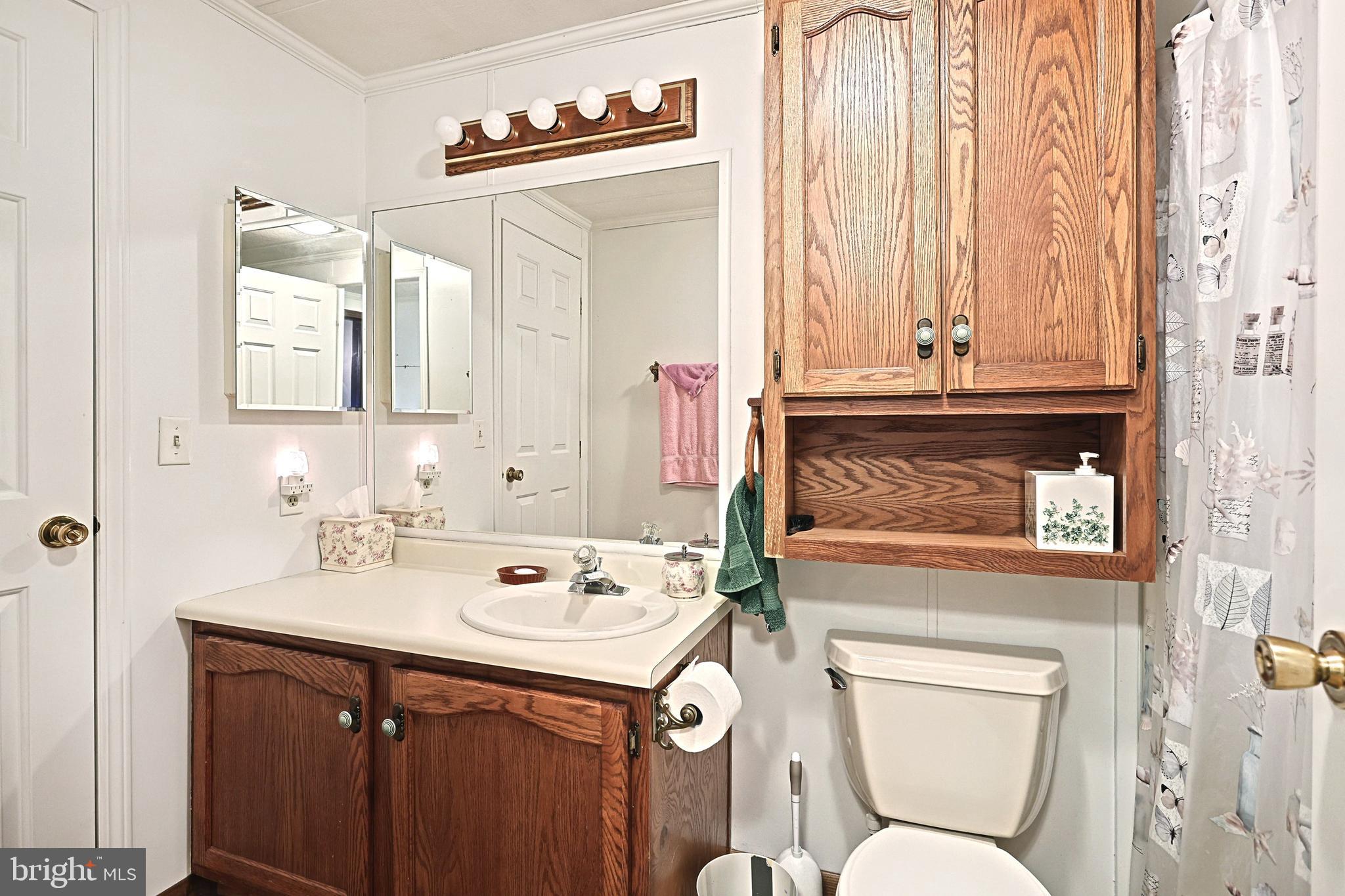 95 Sechrist Flat Road Felton, PA 17322 - Photo 22 of 45 a bathroom with a toilet sink and mirror