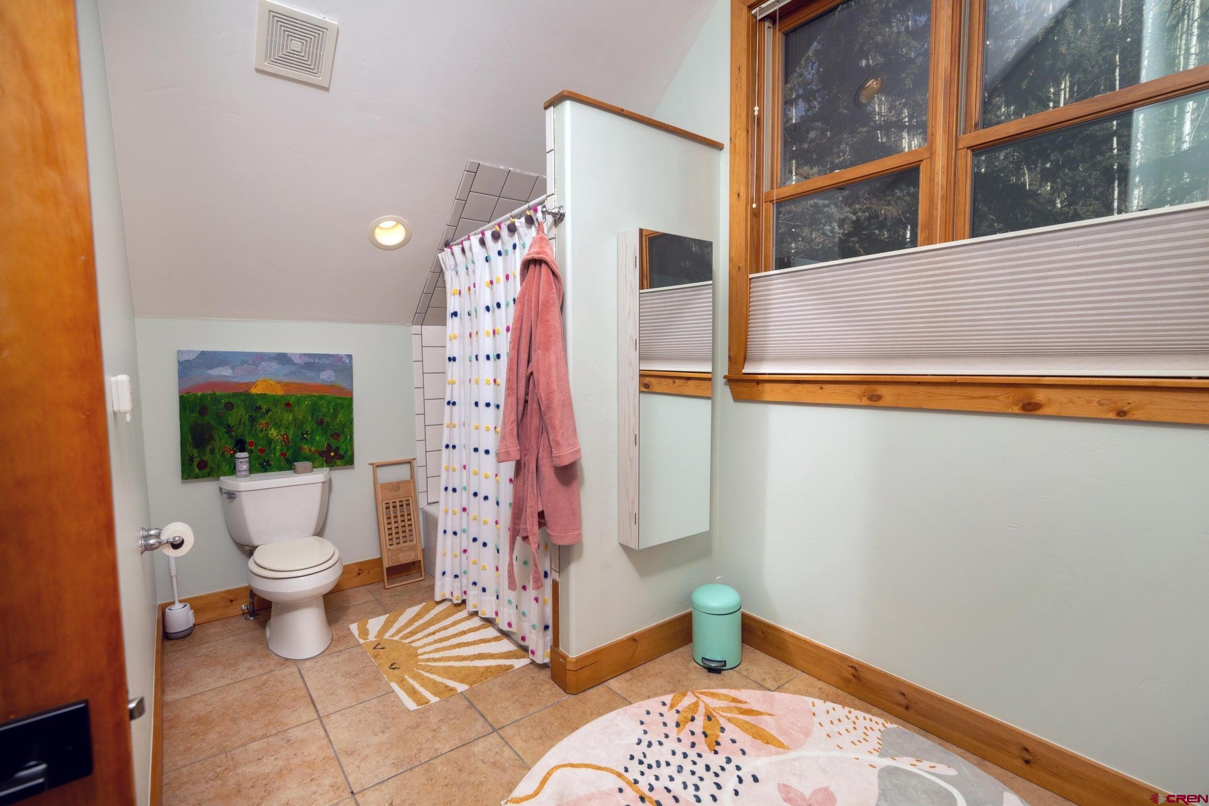 339 Silverglance Way Rico, CO 81332 - Photo 17 of 27 Gallery Image 17