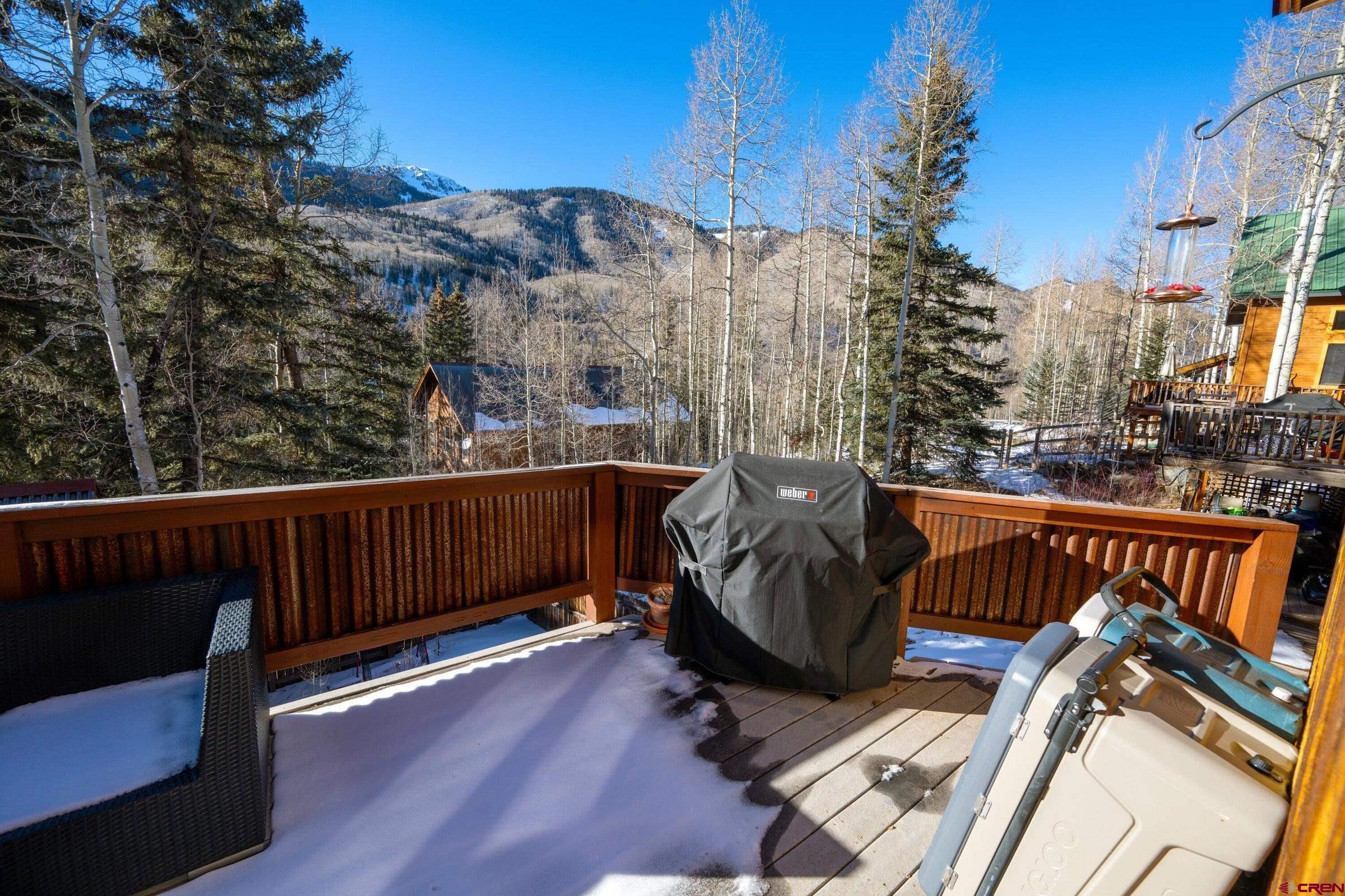 339 Silverglance Way Rico, CO 81332 - Photo 23 of 27 Gallery Image 23