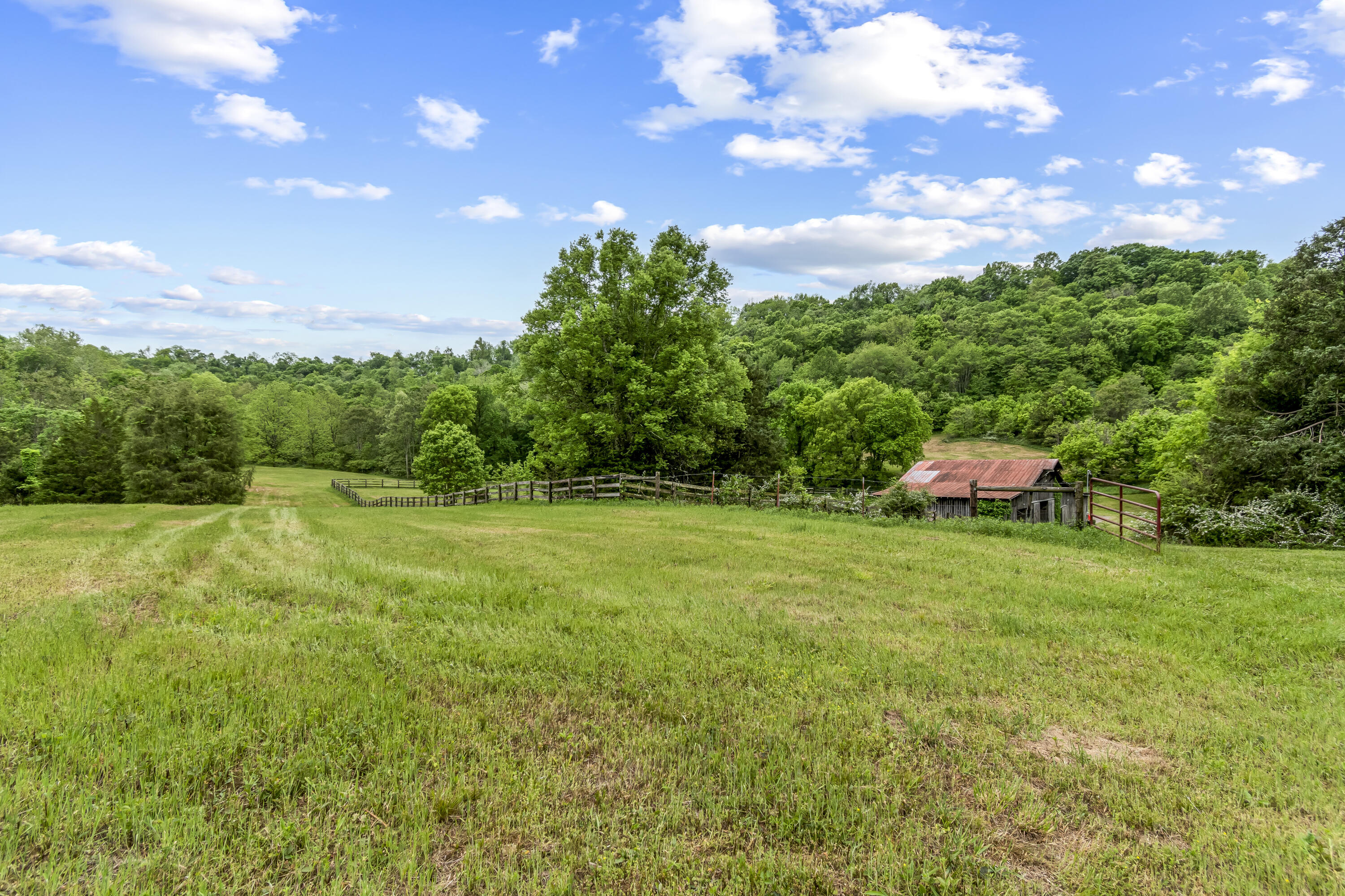 4481 Stockard Road, Unit A Culleoka, TN 38451 - Photo 74 of 83 107-print-274