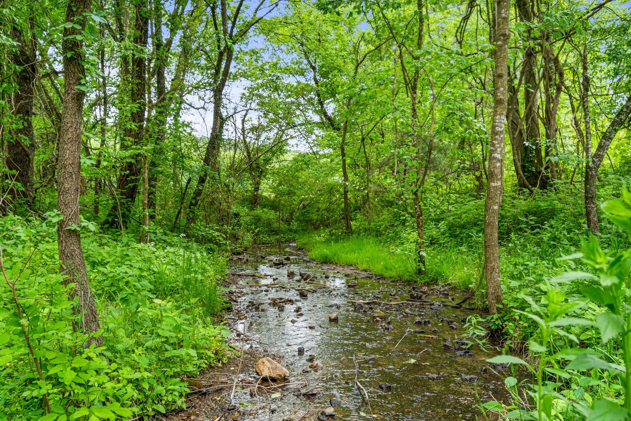 4481 Stockard Road, Unit A Culleoka, TN 38451 - Photo 8 of 83 68-web-or-mls-157