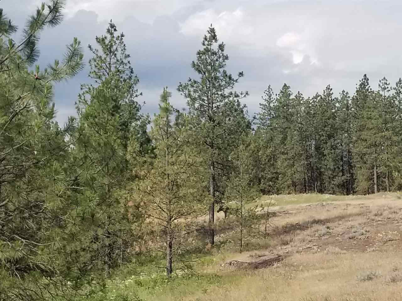 114 North Wood Road Spokane, WA 99224 - Photo 1 of 1