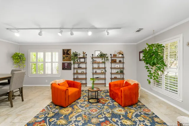 a living room with furniture and a potted plant