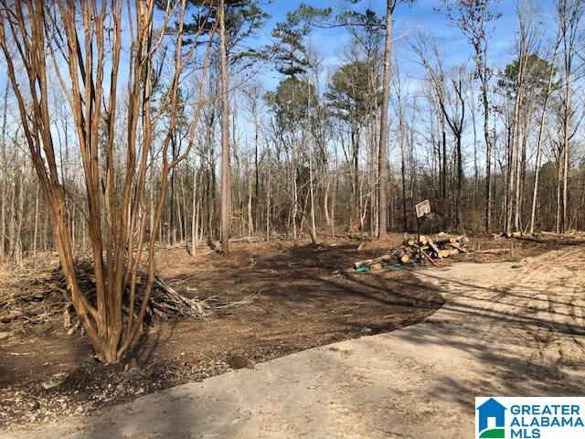 1919 Mt Gilead Road, Unit 9 21 Jacksonville, AL 36265 - Photo 32 of 39