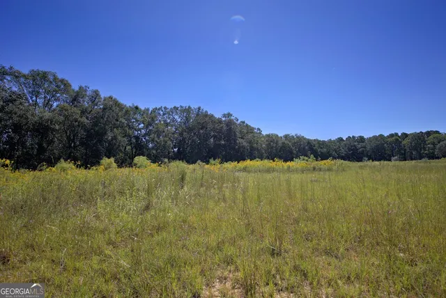 a view of lake and mountain
