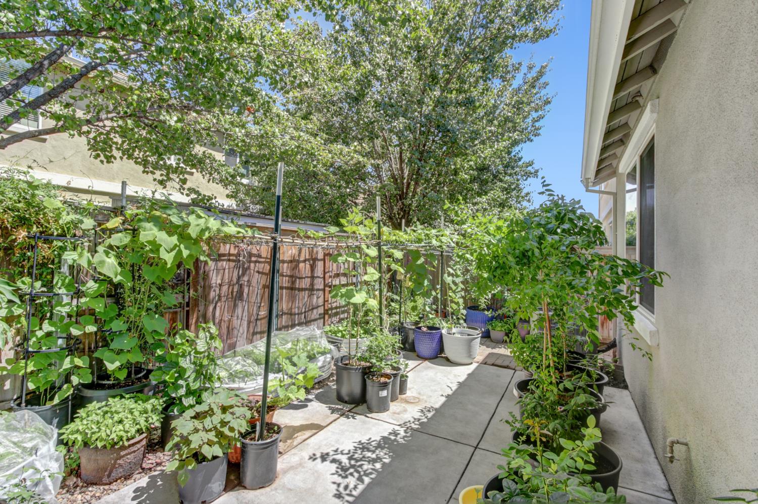 2272 Ellesmere Loop Roseville, CA 95747 - Photo 28 of 38