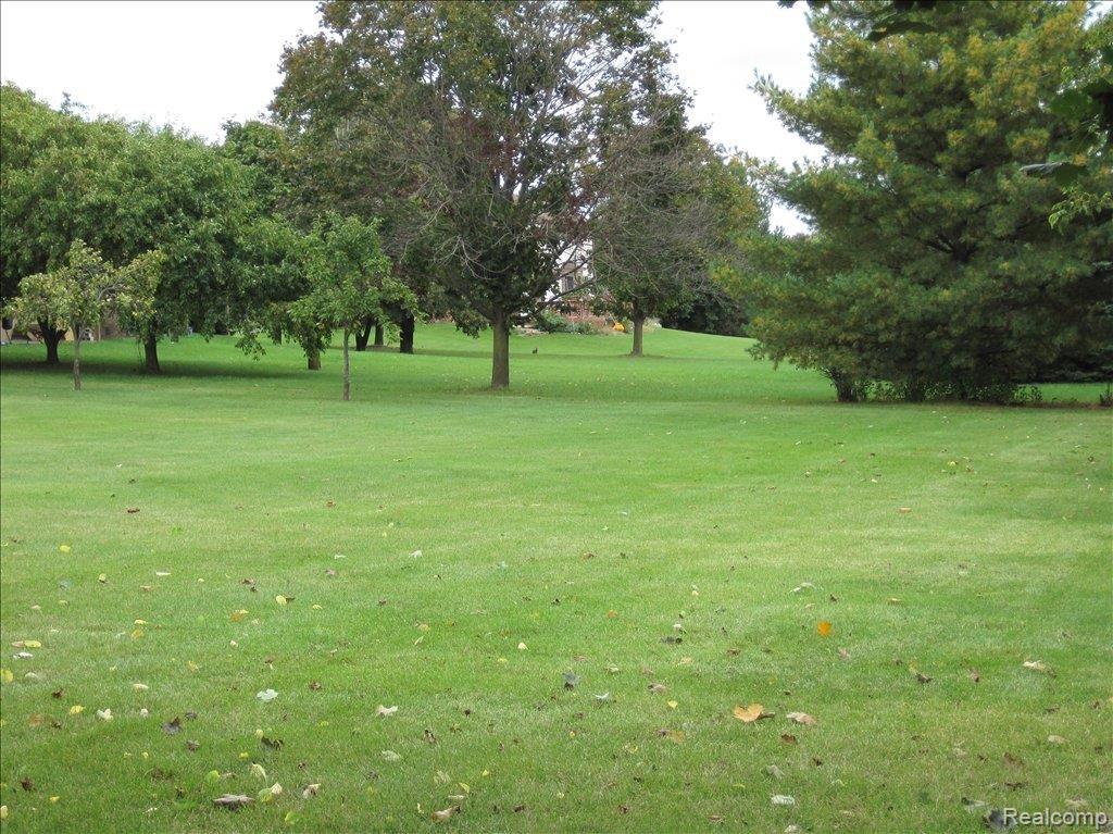 3161 Textile Road Saline, MI 48176 - Photo 20 of 21 View of Backyard