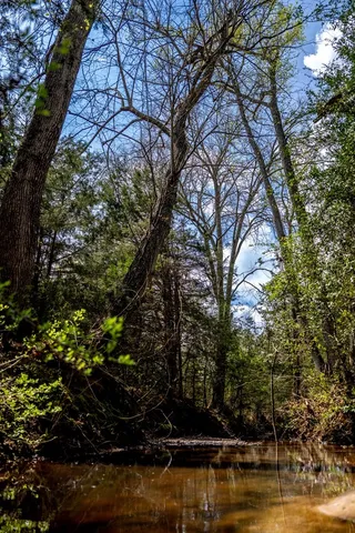 $433,285 | 13634 North Fm 2022, Grapeland, TX 75844