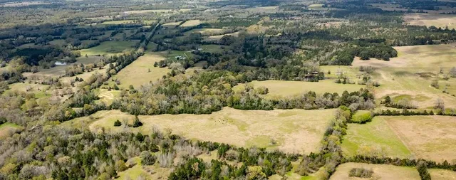 $433,285 | 13634 North Fm 2022, Grapeland, TX 75844