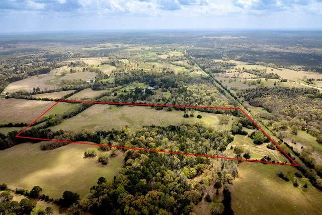 $433,285 | 13634 North Fm 2022, Grapeland, TX 75844