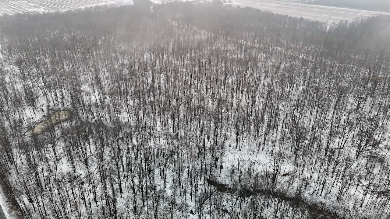 V/l South Chapin Road Elsie, MI 48831 - Photo 2 of 20