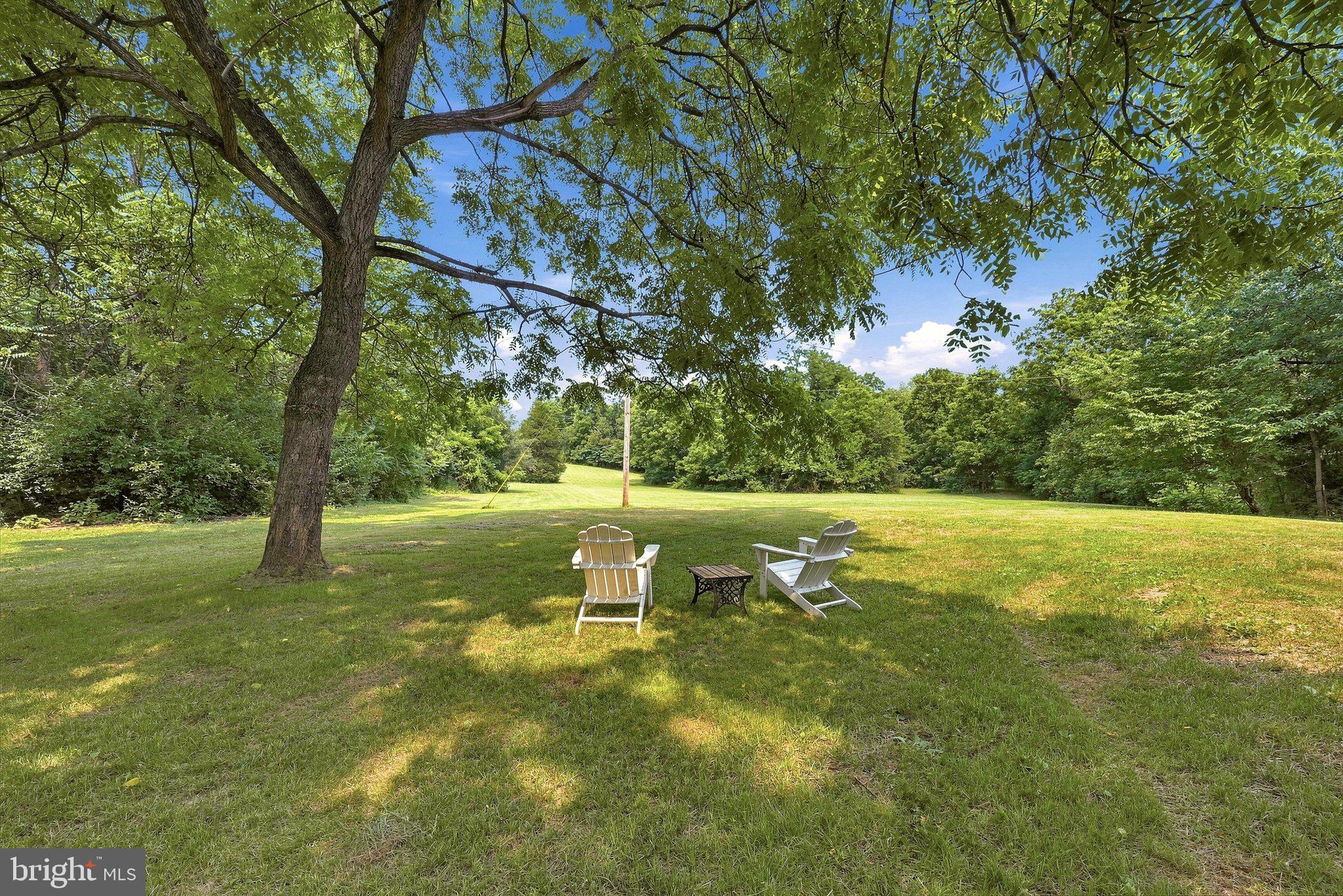 1801 Old Chapel Road Boyce, VA 22620 - Photo 43 of 55 Backyard